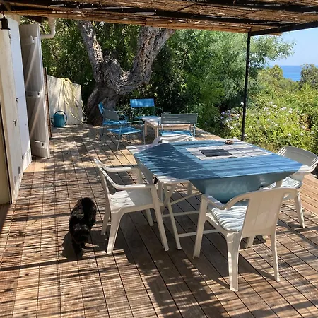 Les Gorgones - Corse Du Sud - Vue - 200m *