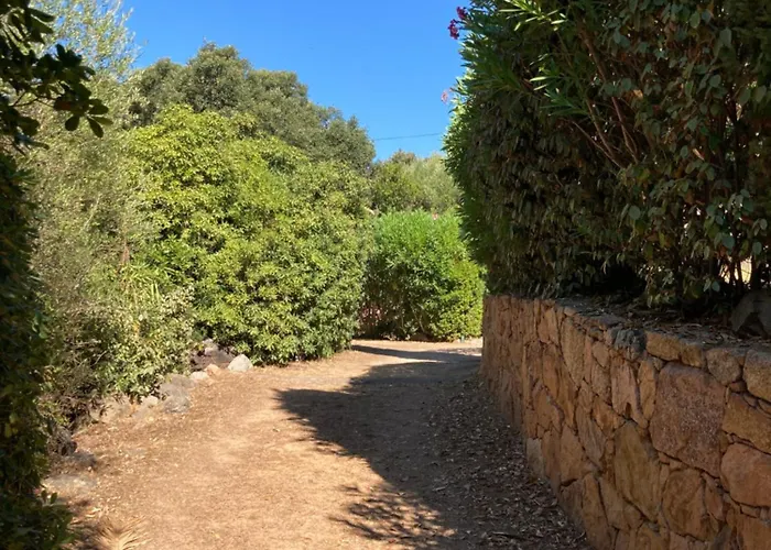 Les Gorgones - Corse Du Sud - Vue - 200m ヴィラ ゾンザ