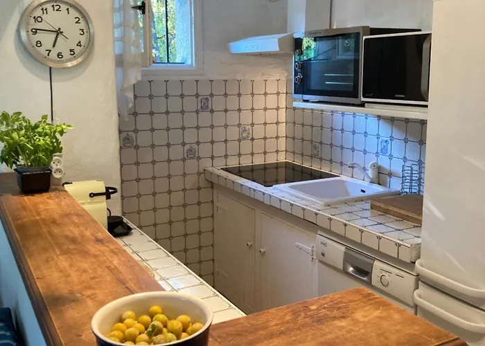 Les Gorgones - Corse Du Sud - Vue - 200m ゾンザ