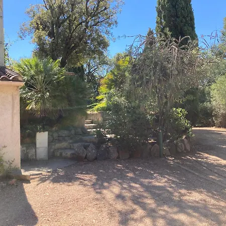 Corse Du Sud à 200m De La Villa *