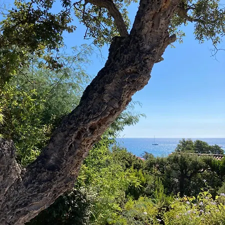 Les Gorgones - Corse Du Sud - Vue - 200m 빌라 *