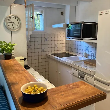 Les Gorgones - Corse Du Sud - Vue - 200m 종자