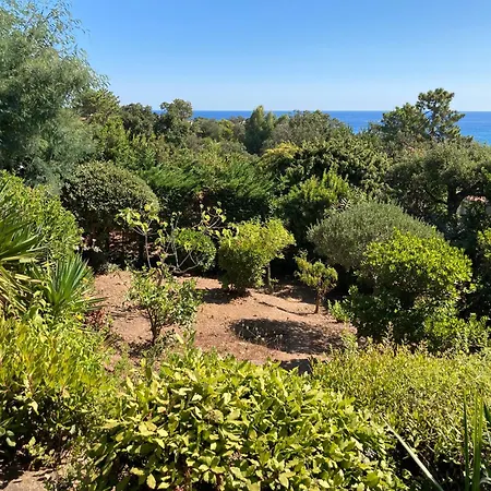 Villa Corse Du Sud à 200m De La *