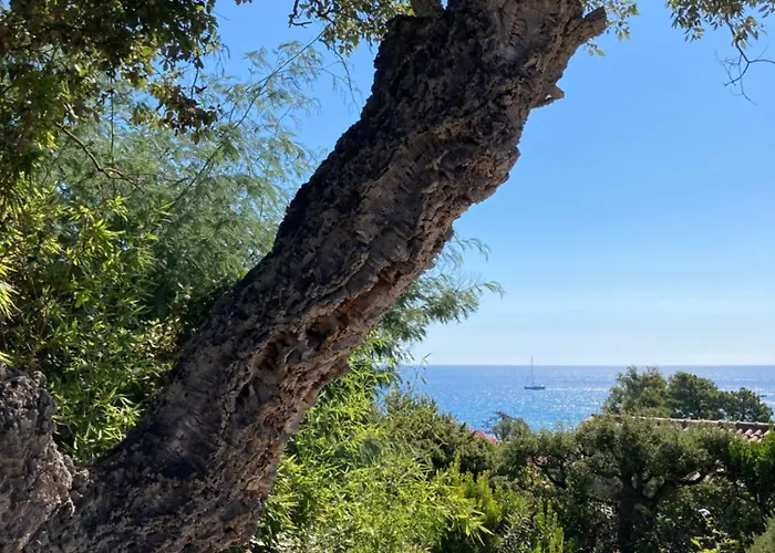 Corse Du Sud à 200m De La Villa *