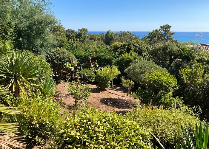 Villa Les Gorgones - Corse Du Sud - Vue - 200m *